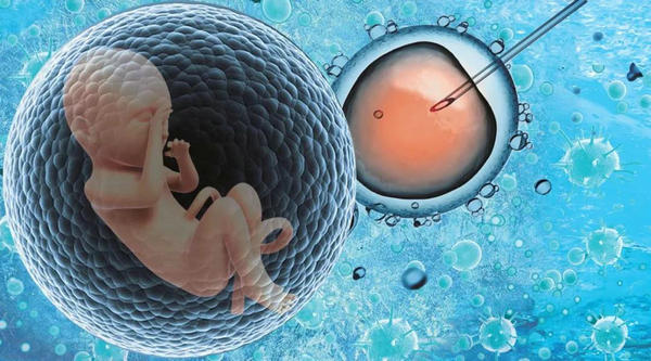 卵巢储备功能差的女性该怎么备孕3.jpg