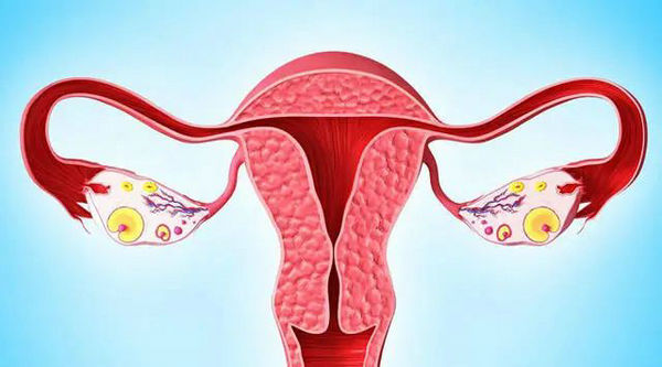 只剩一侧输卵管的女性还能自然怀孕吗1.jpg